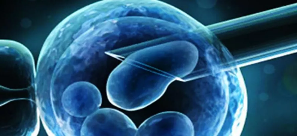 Falsas promesas en tratamientos con células madre