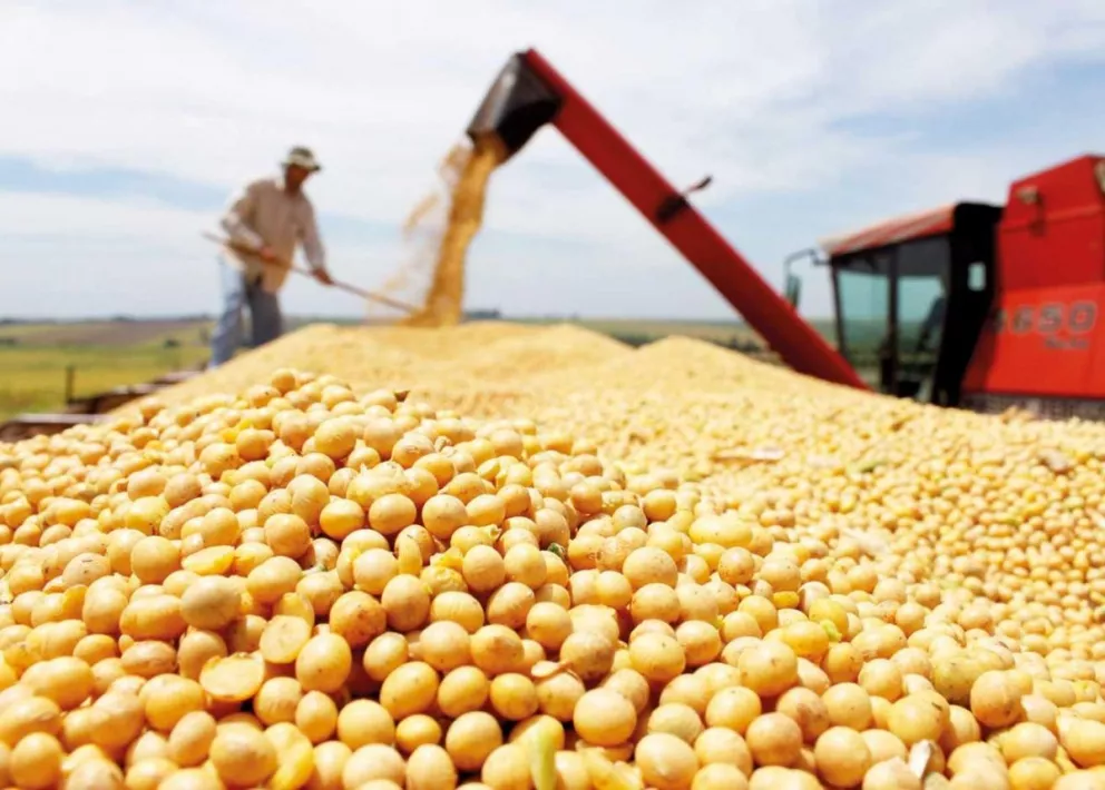 En Corrientes, soja y maíz elevaron sus rendimientos