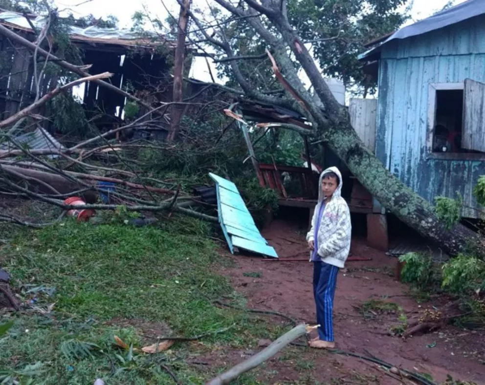 Despejan árboles caídos de la zona rural de Cruce Caballero tras el temporal