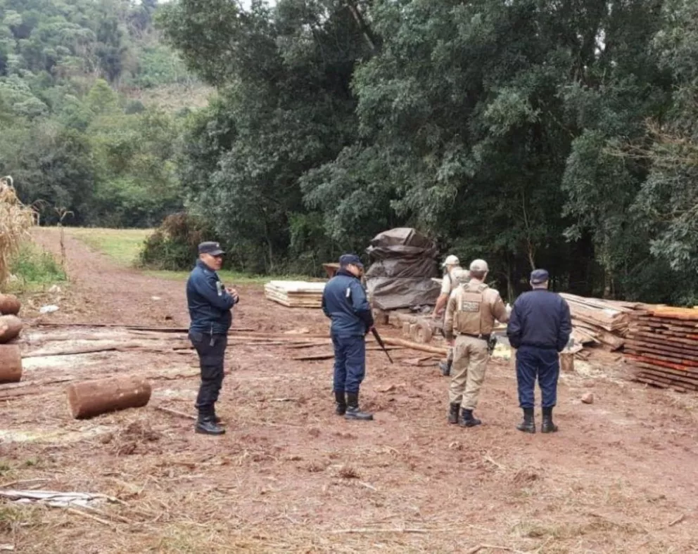 Frontera Blindada: Misiones y Brasil, combaten contrabando de madera