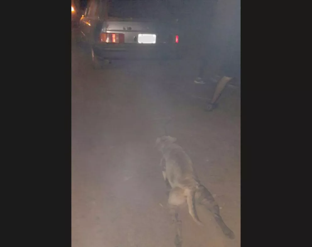 Indignación: Ató a su perro a un vehículo y lo arrastró por la avenida