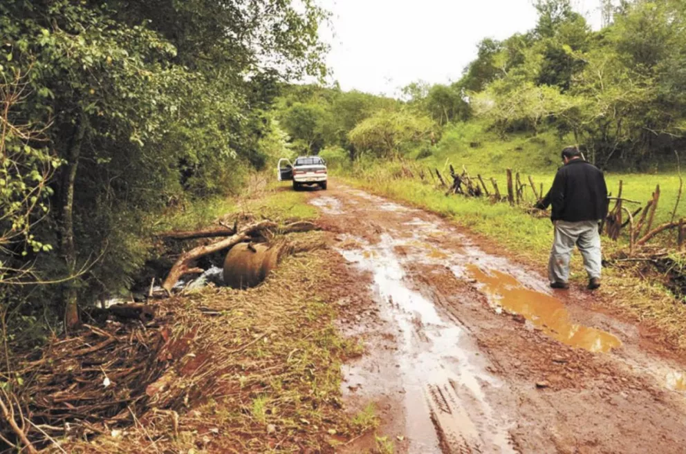 Campo Viera tiene que reparar 300 kilómetros de caminos