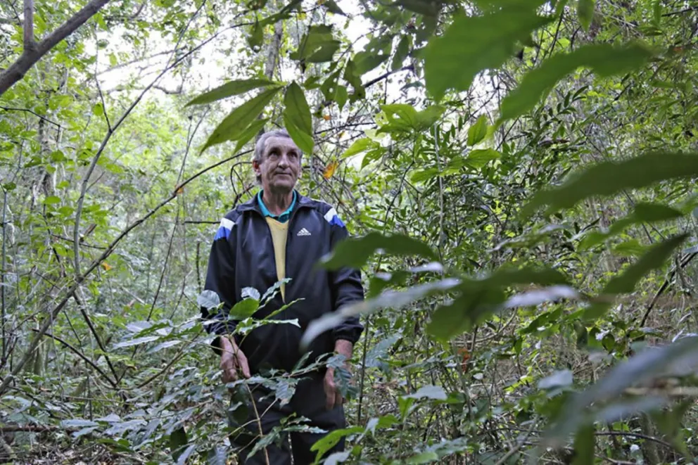 Kansel recorrió junto a El territorio la zona donde cosechó café y divisó plantas nuevas en el monte.