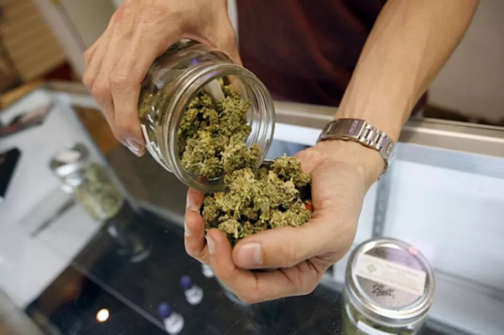 En Uruguay comenzó la venta de marihuana recreativa en farmacias