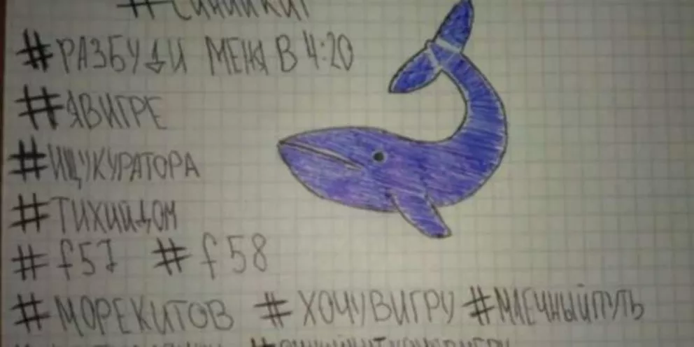 Condenan a tres años de cárcel al creador del juego de 'La ballena azul' 