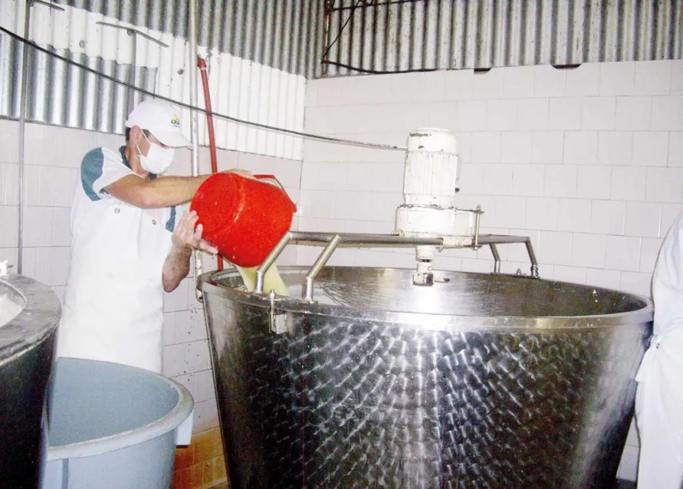 Producción de lácteos en la Caul, Cooperativa Alto Uruguay Ltda.