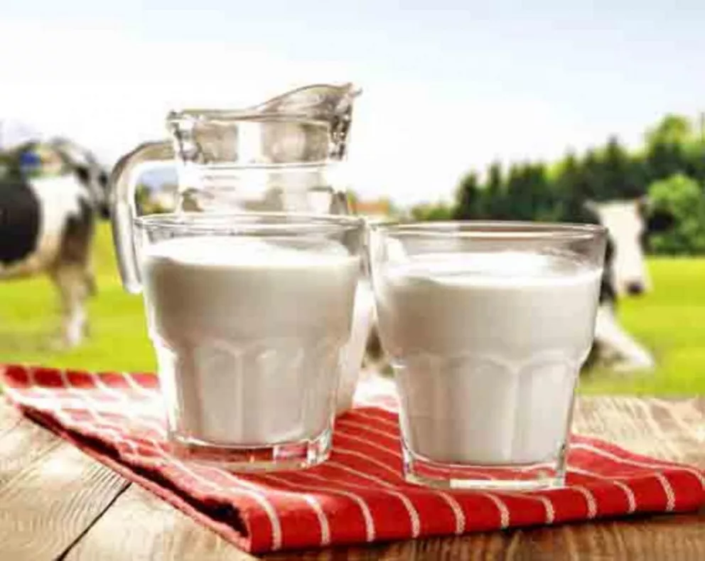 El precio de la leche en el país es el segundo más caro del mundo
