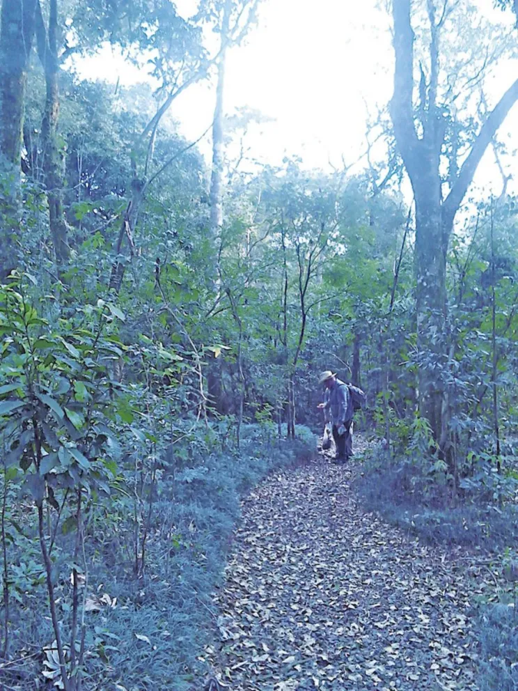 San Vicente quiere tener dos parques provinciales