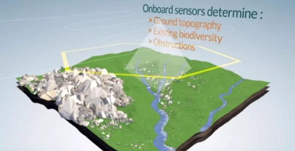 Los drones que pueden plantar 100.000 árboles por día