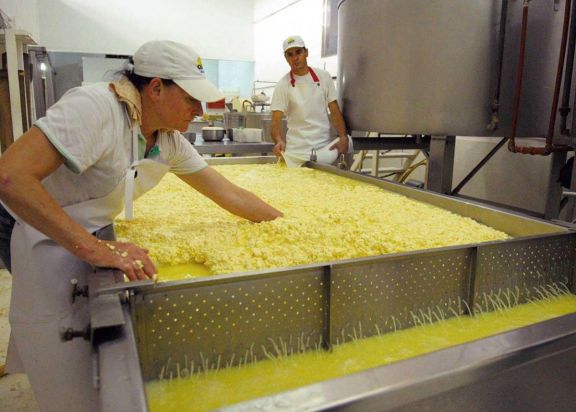 Se afianza la producción de quesos en las chacras