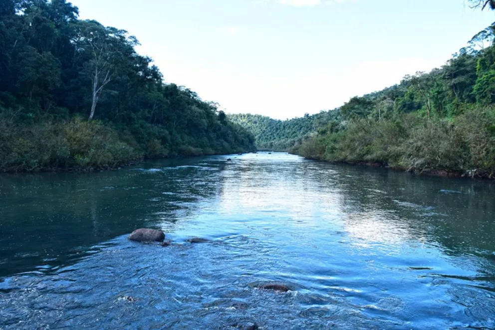 Convenios internacionales para la protección del medioambiente