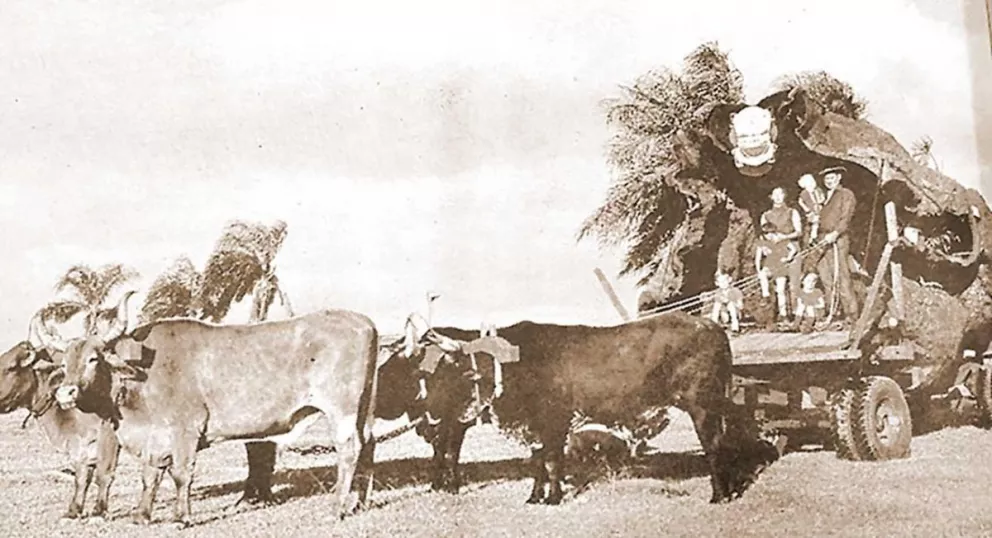 Abdón Vier con su familia en  el carruaje de cañafístola.