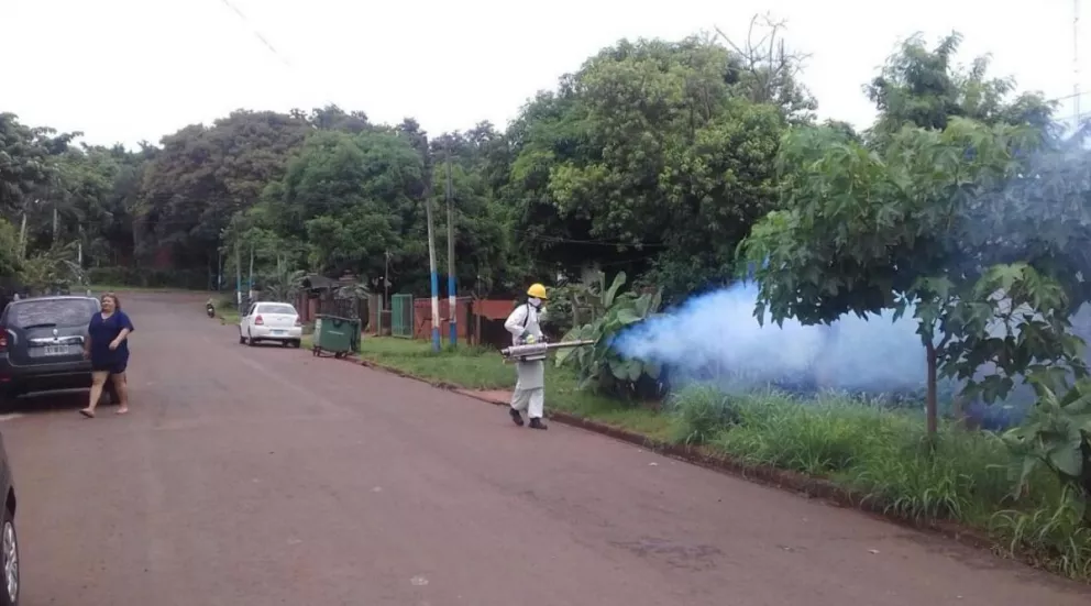 Puerto Iguazú: Intensifican las medidas en la lucha contra el dengue