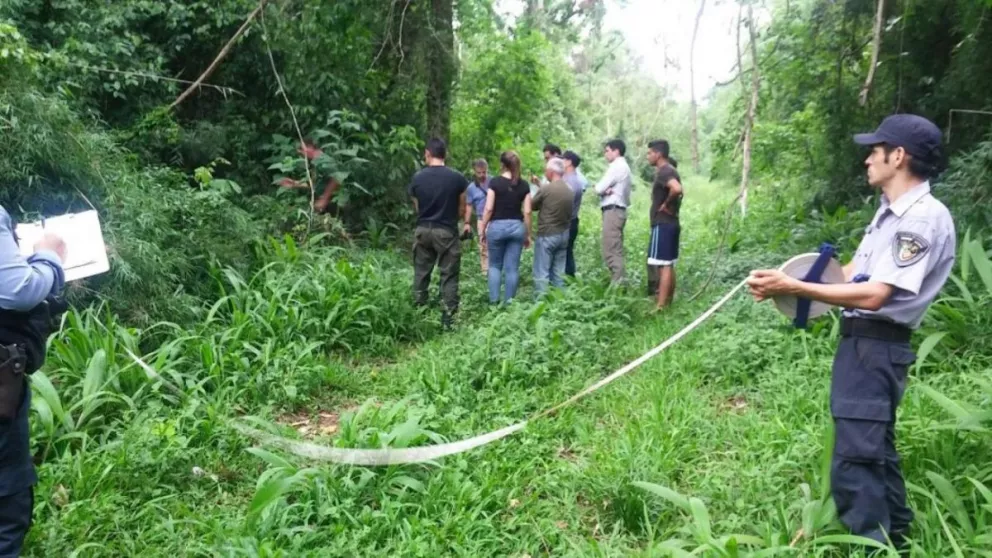 Muerte del yaguareté: La justicia realizó inspección al predio del presunto hecho de caza en Libertad