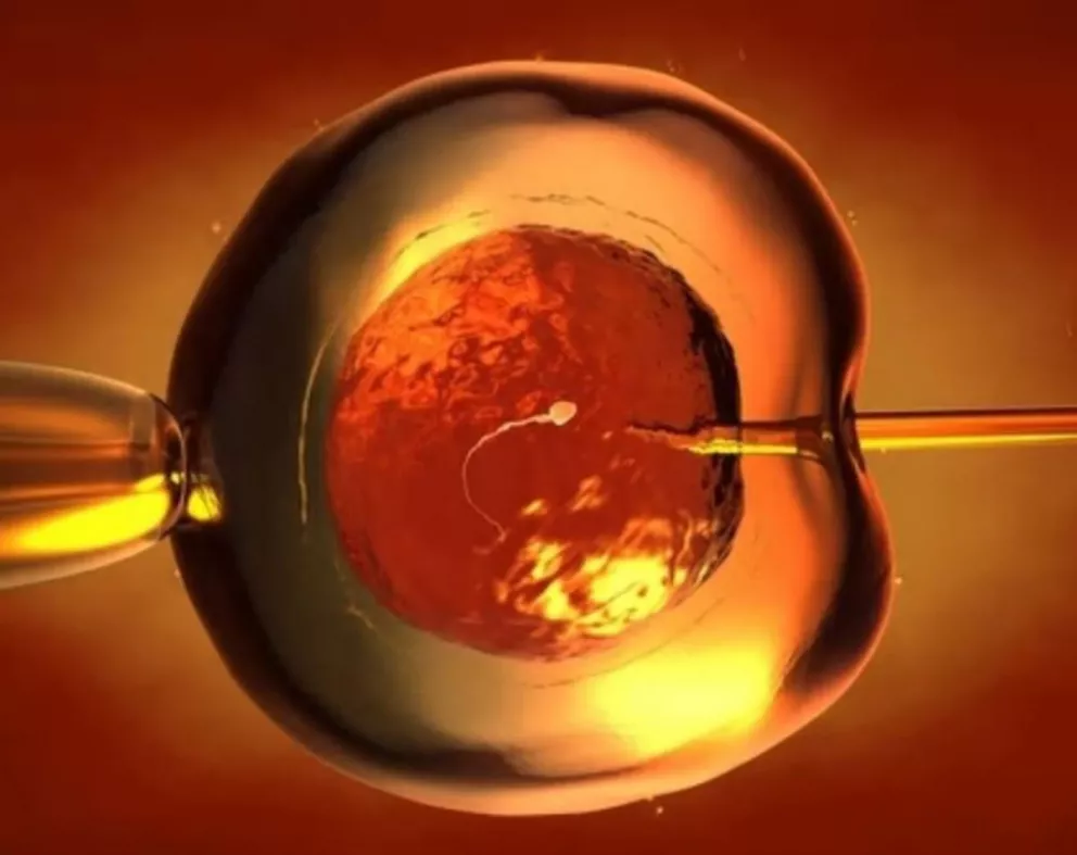 Cambio de paradigma en ovodonación: la mujer gestante podrá modificar el ADN del embrión