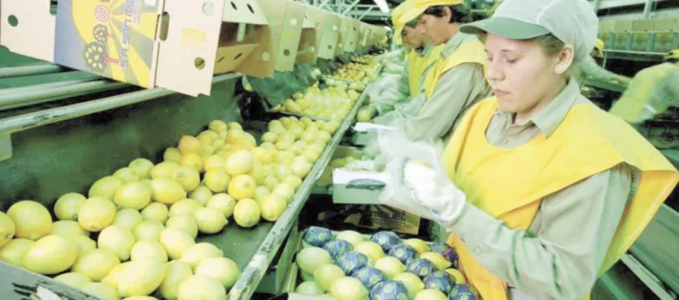 Los limones lograron el sello de Alimentos Argentinos