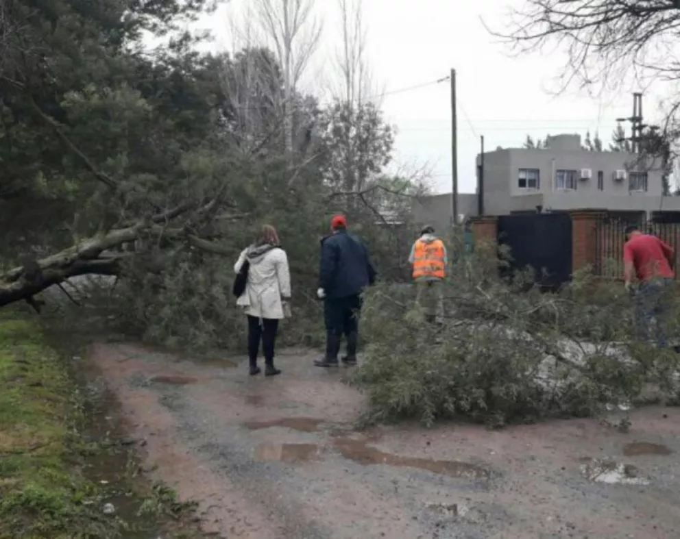 Temporal en Luján: murieron dos personas por caída de árboles