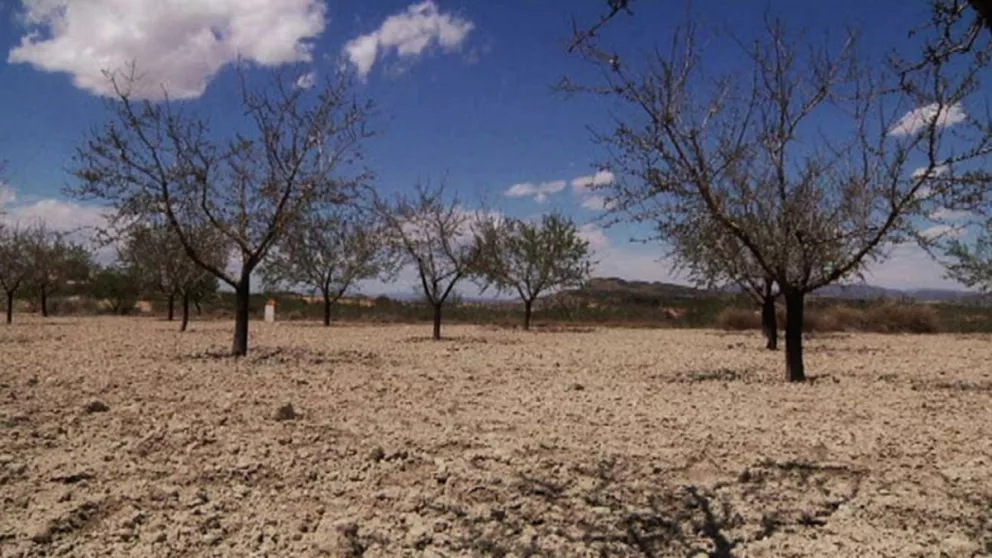 Cambio climático: España y Portugal sufren histórica sequía