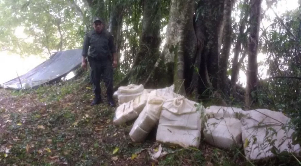  Narco acampe: Incautan más de 316 kilos de marihuana en un refugio