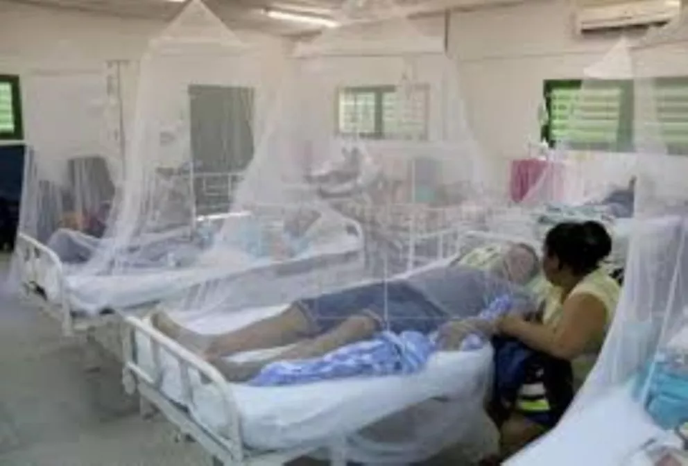 Confirman dos nuevas muertes por dengue en Paraguay