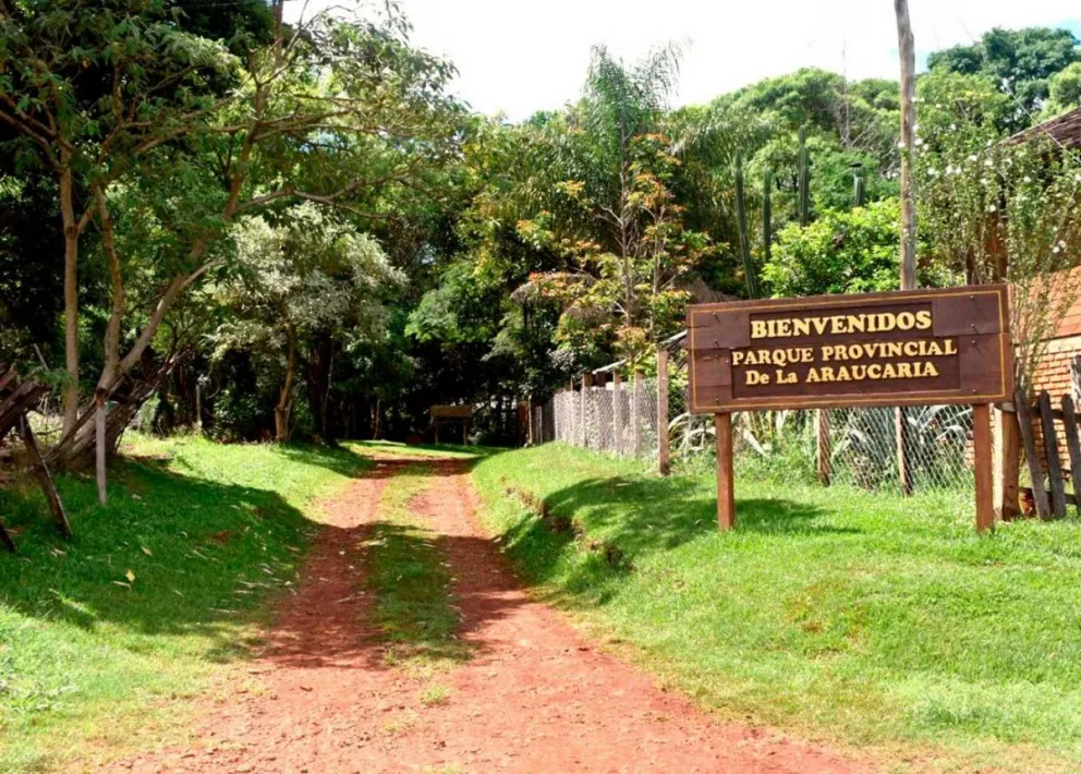 Tras las denuncias de apeo ilegal, concientizan sobre la preservación de bosques nativos imagen-6