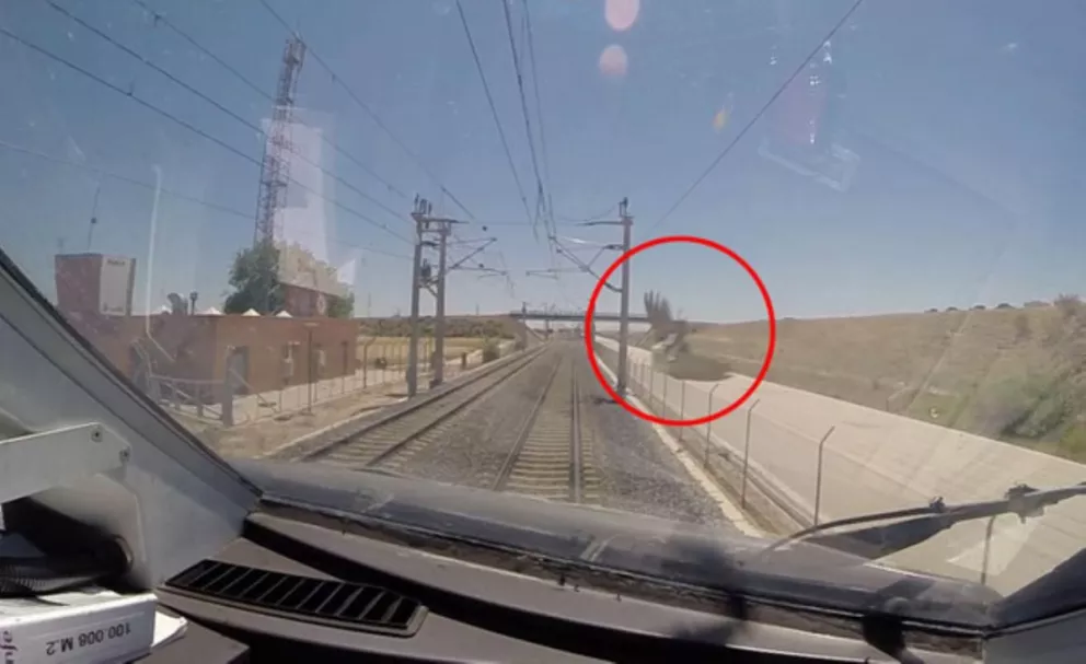 Esto es lo que pasa cuando un tren de alta velocidad atropella a una urraca