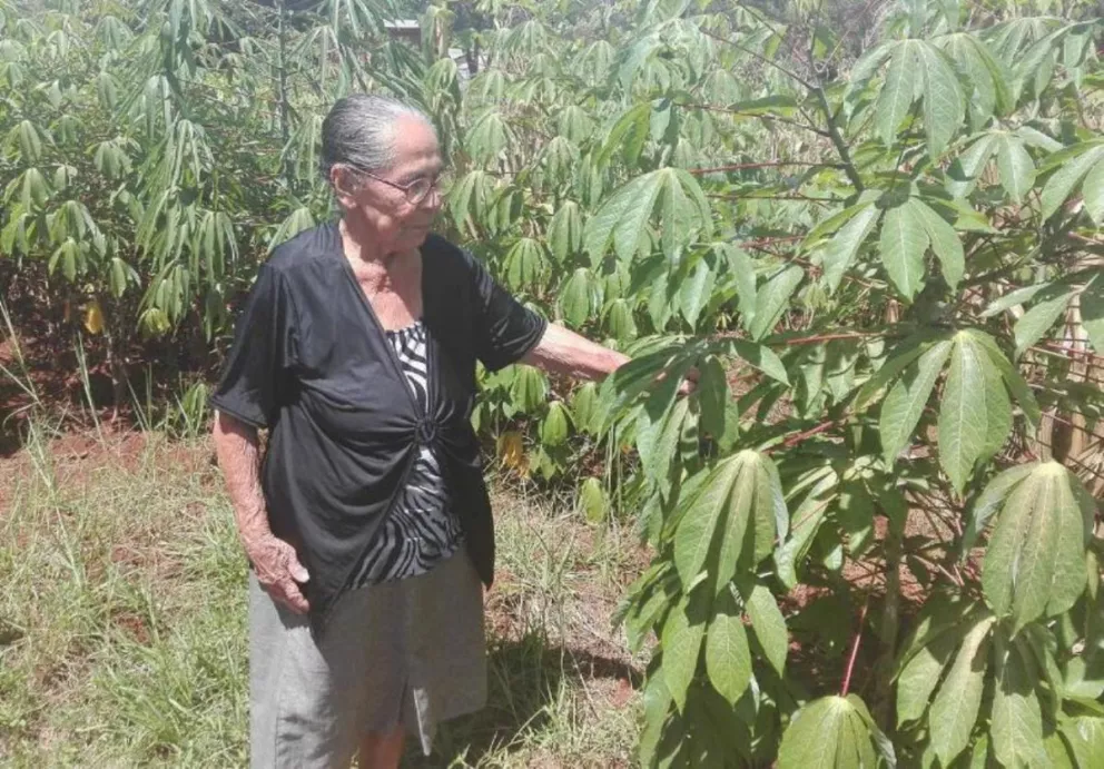 Doña Rosario, la partera de Santa Ana que trabaja a los 80 años
