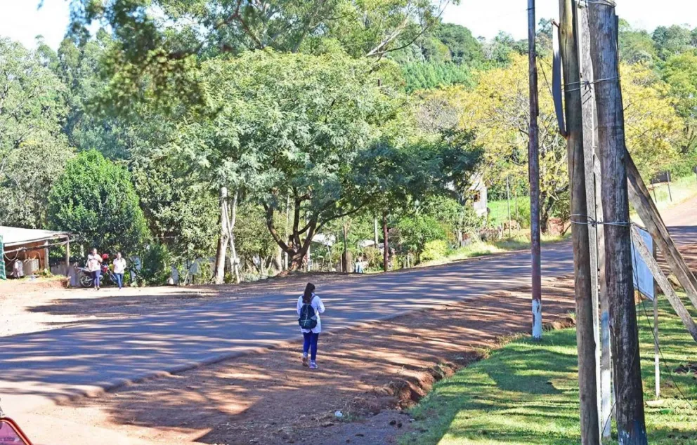 La única testigo del hecho señaló que el conductor escapó por ruta provincial 20.