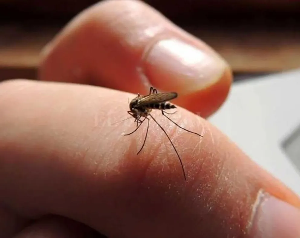 Nación amplió a 28 los casos de dengue en la provincia