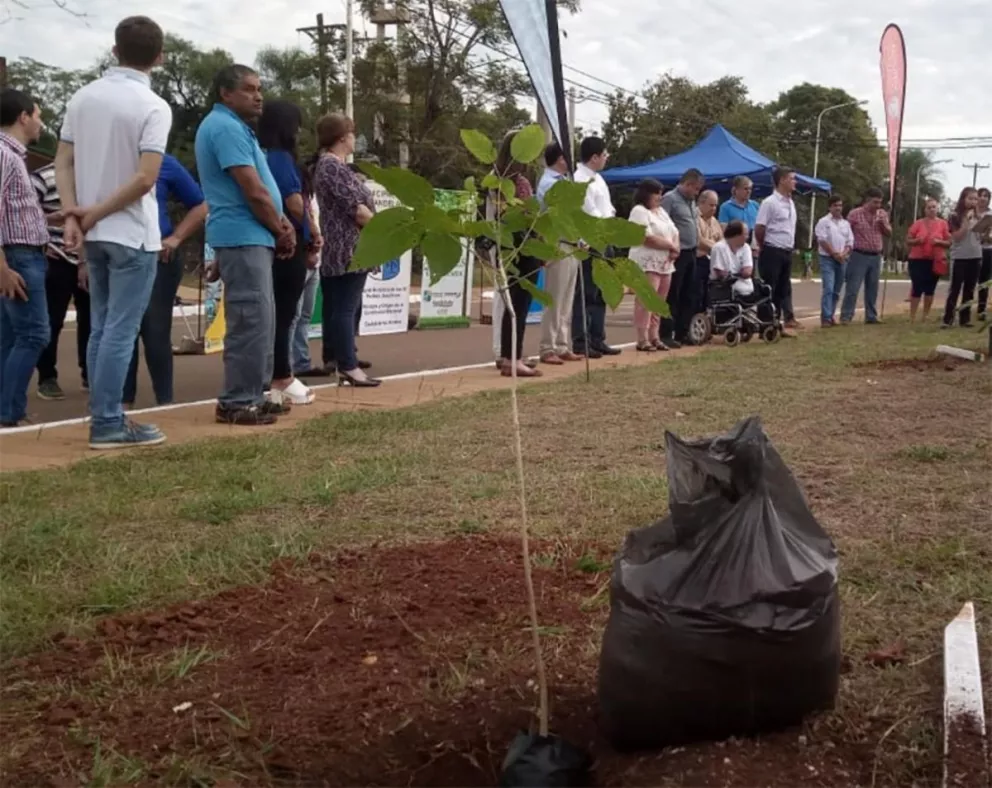 En el Día de la Tierra, Candelaria recibió mil árboles de Ecología
