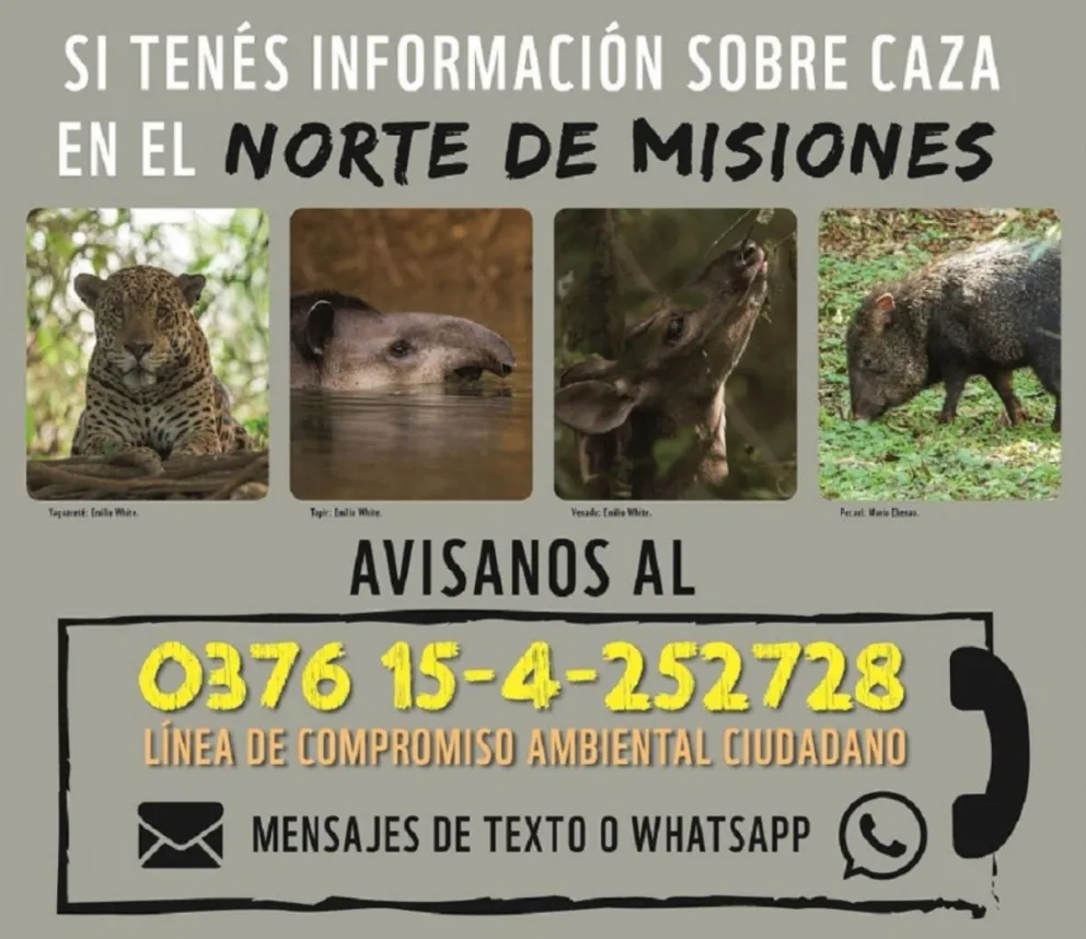 Ya funciona la Línea de Compromiso Ambiental Ciudadano