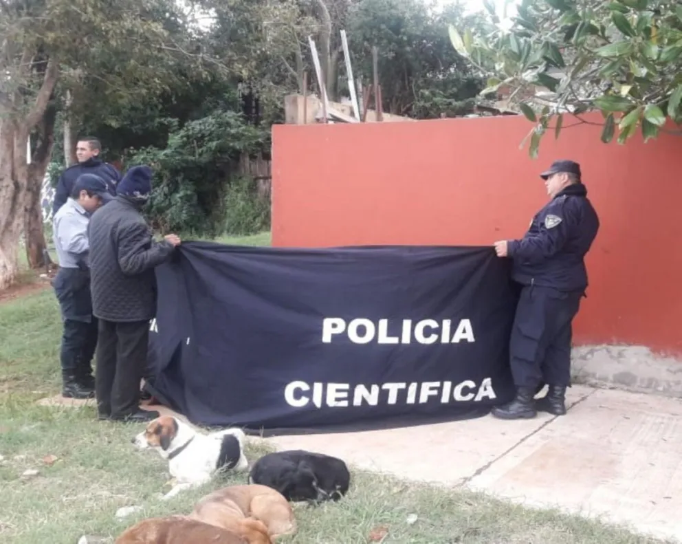 Policiales