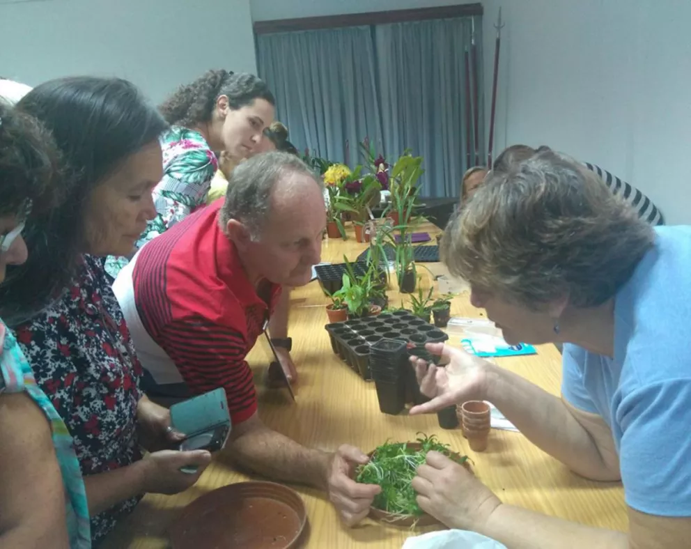 Montecarlo: Más de 150 productores participaron del taller de Cultivo de Orquídeas