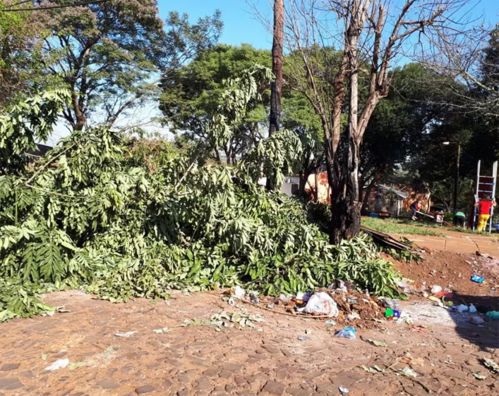 En Villa Cabello se quejan por los desechos de poda