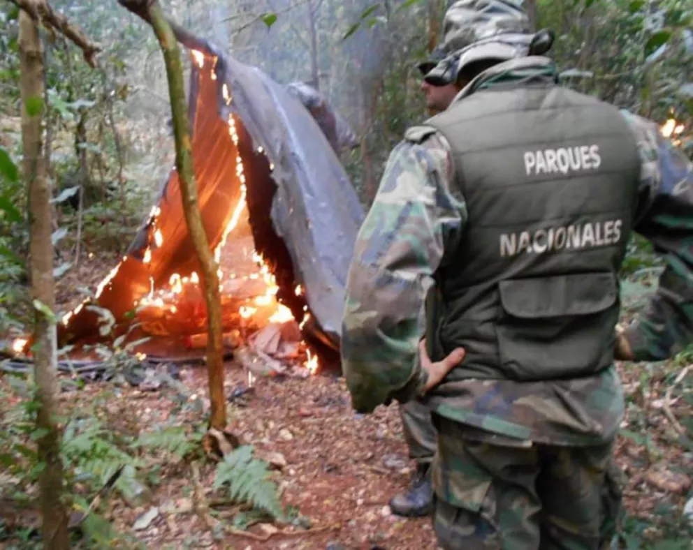 Guardaparques destruyeron un campamento de cazadores furtivos