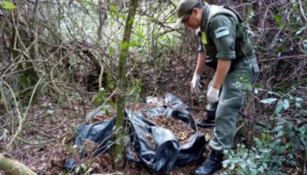 Abandonan media tonelada de marihuana en un barrio eldoradense