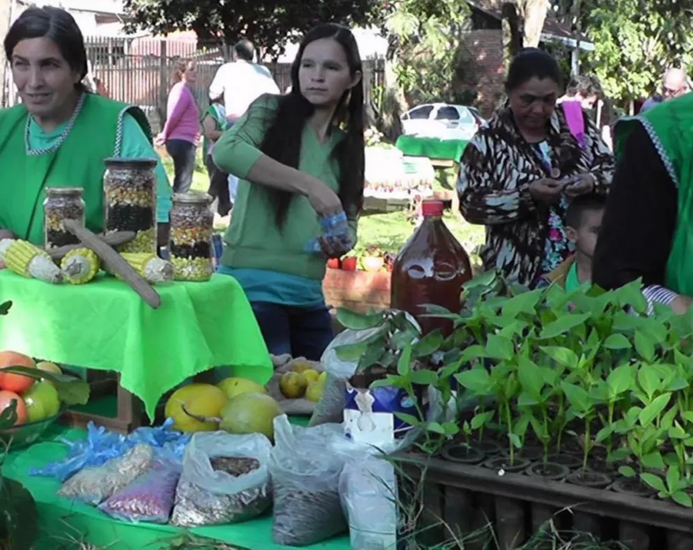 Exposición e intercambio de semillas nativas en Puerto Libertad