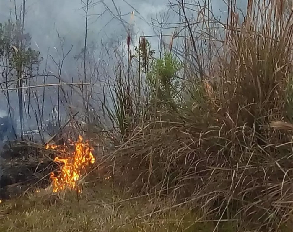 Provocaron incendio en la reserva privada El Anchico de Oberá