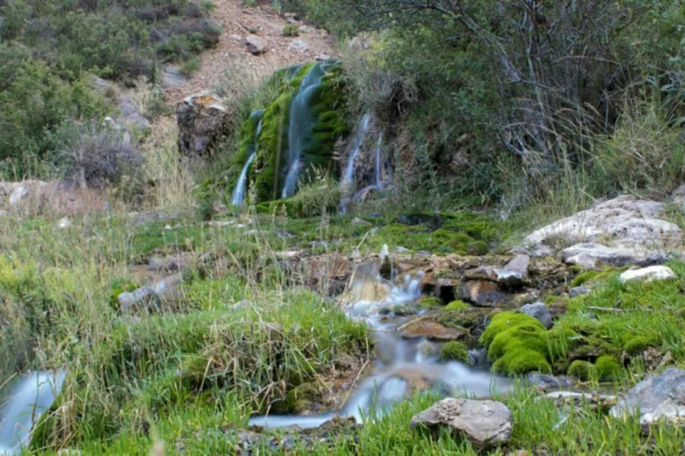 Arroyo de agua pura en la Reserva Natural Villavicencio, Mendoza.