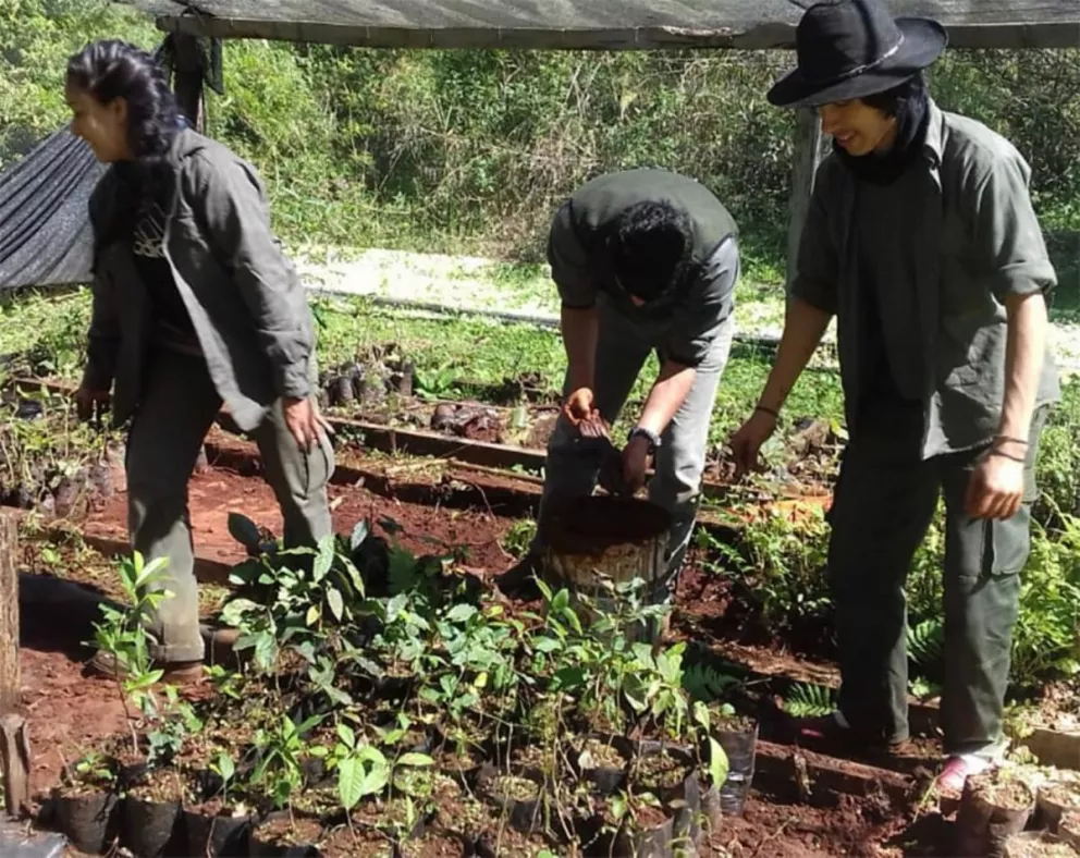 Estudiantes de la carrera de Guardaparque trabajan de forma voluntaria en áreas protegidas