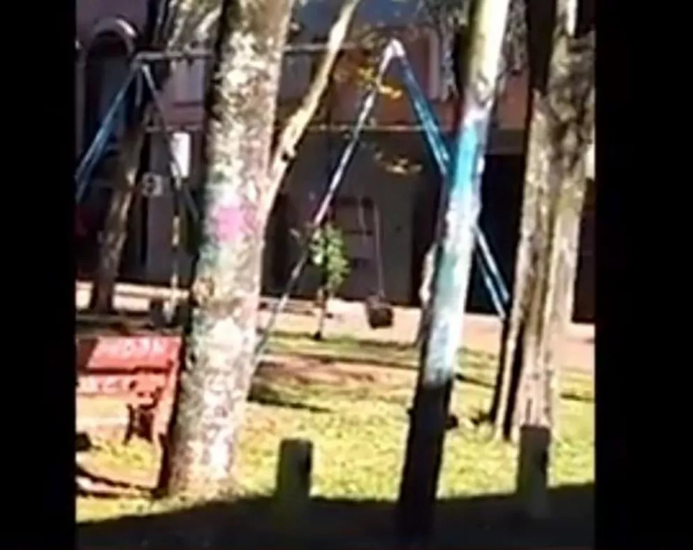 Filman videos de una hamaca que se mueve sola en una plazoleta de Oberá 