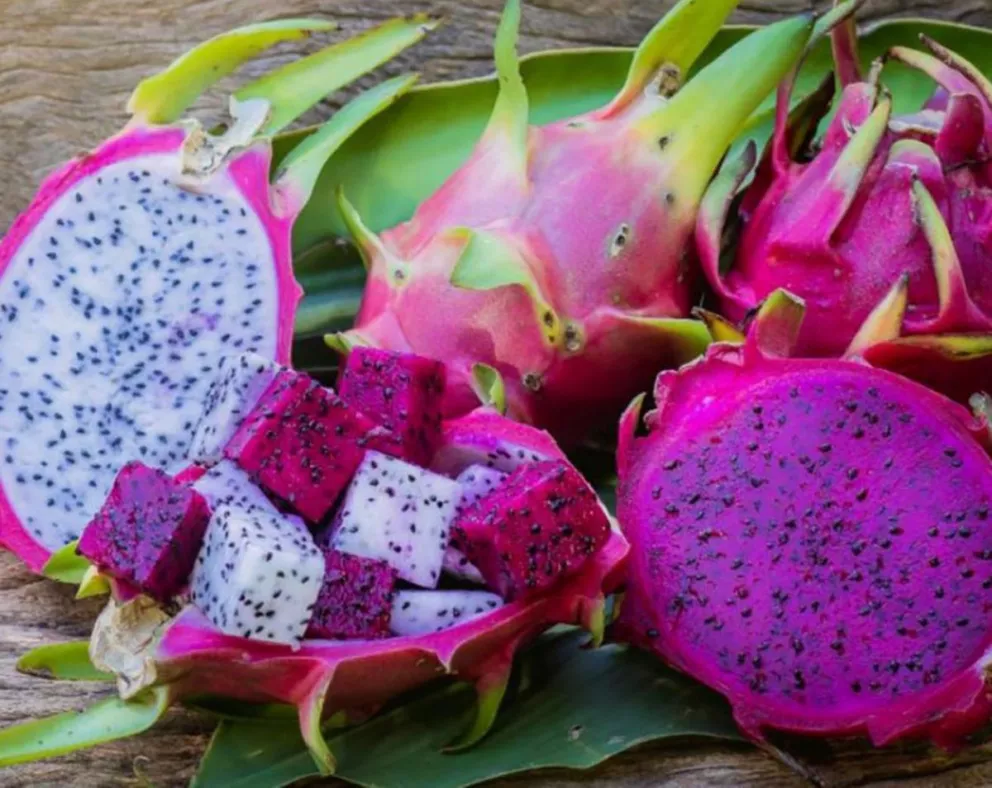 La pitaya es la fruta más curiosa que enamora a los instagramers