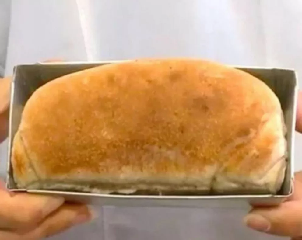 Elaboraron un pan con cucarachas y la ONU asegura que es "el alimento del futuro"