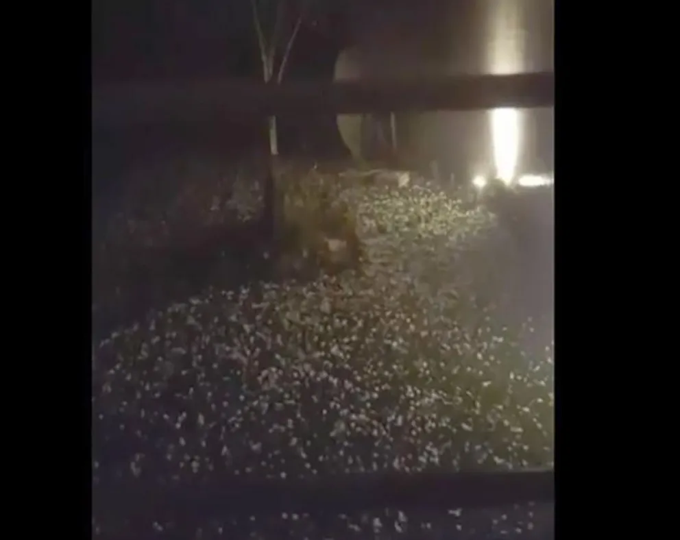 El Porvenir 2, uno de los barrios más afectados por la granizada en Posadas