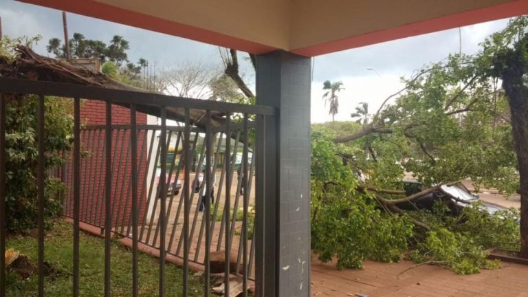 Viernes de tormenta: Jardín afectada por fuertes vientos y cierran ...