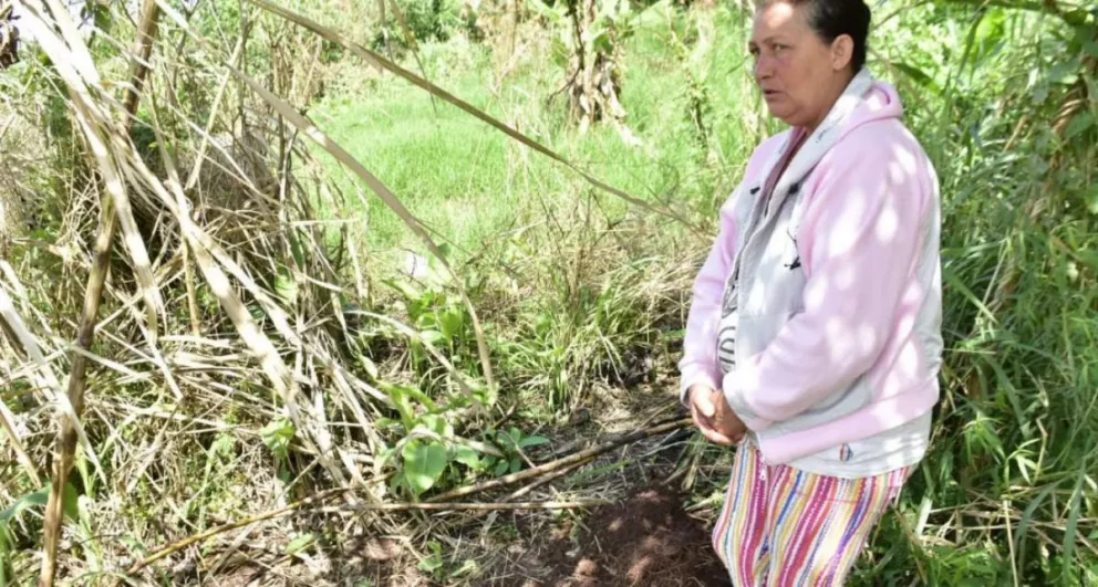 Restos óseos en San Jorge: Una mujer carpiendo su huerta, encontró los huesos