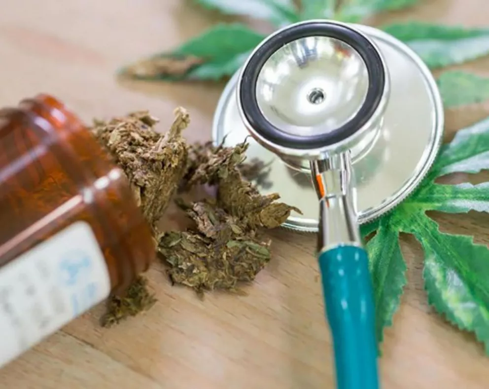 Destacan que 50 niños serán atendidos en el Garrahan con los ensayos de Cannabis Medicinal 