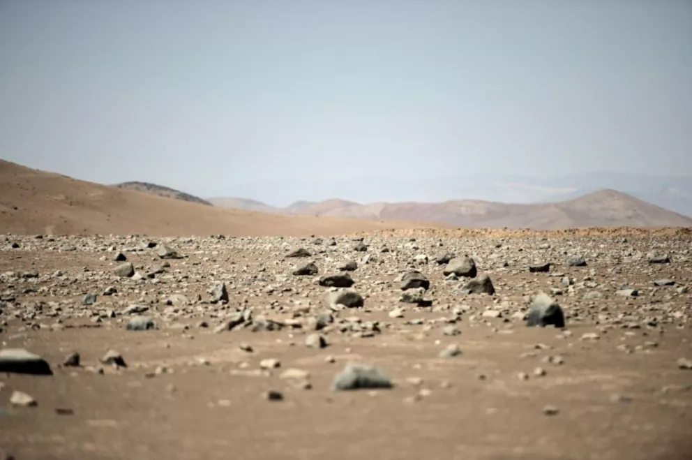 La lluvia en Atacama después de 500 años está matando miles de microbios 