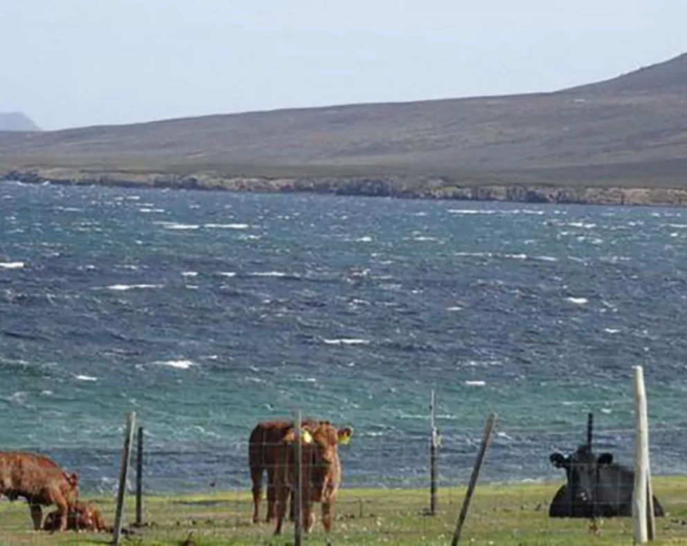 Polémica: una familia de Gales vende una isla de las Malvinas