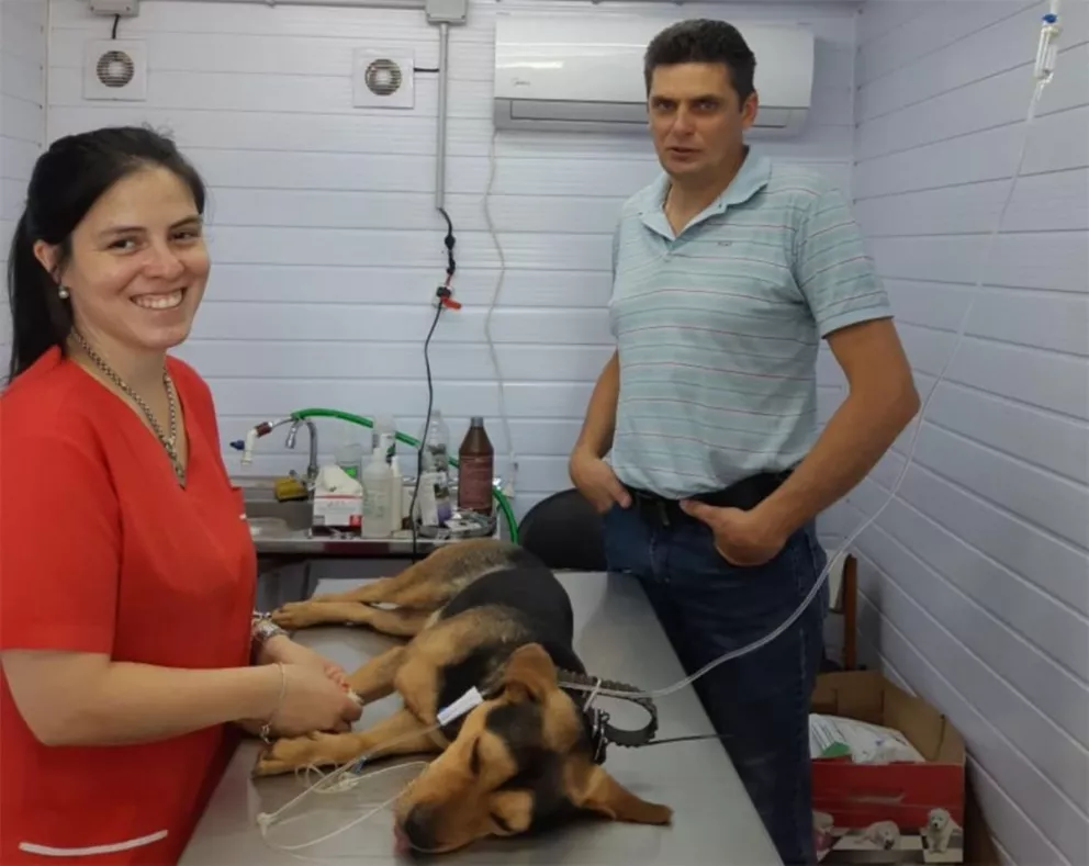 Montecarlo: El Quirófano Móvil realizó operativo de castración y vacunación en el Bº San Marcos